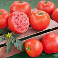 Goliath Tomato Live Plants (2) | Solanum lycopersicum | 6–10" Large Red Slicer