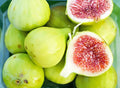 Strawberry Verte Fig Cutting (Ficus carica) – 6–8" Unrooted Cutting for Rooting or Grafting