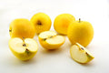 Opal Apple Cuttings (Malus domestica ‘Opal’) – 3 Fresh Scions for Rooting or Grafting