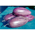 Purple Stripe Pepino Melon Cuttings (Solanum muricatum) - 6 Unrooted
