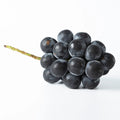 Japanese Kyoho Grape Cuttings (6 Unrooted) - Vitis vinifera × Vitis labrusca