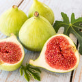 Desert King Fig Cuttings (Ficus carica) - 2 Unrooted 6-8" | Cold Hardy, Early Breba Crop