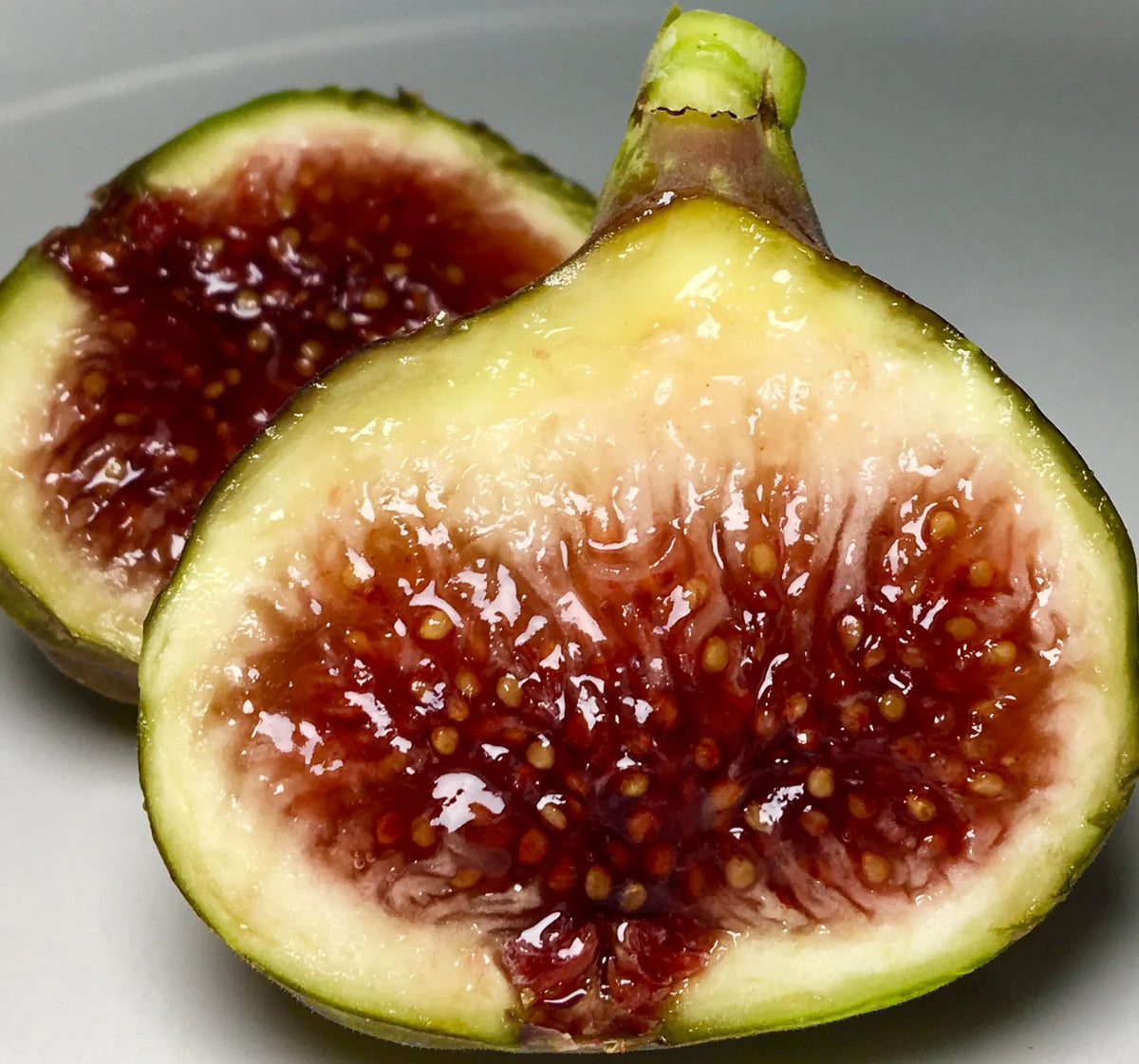 Smith Fig Tree Cuttings (2 unrooted, 6–8") – Organic Heirloom Louisiana Fig for Propagation