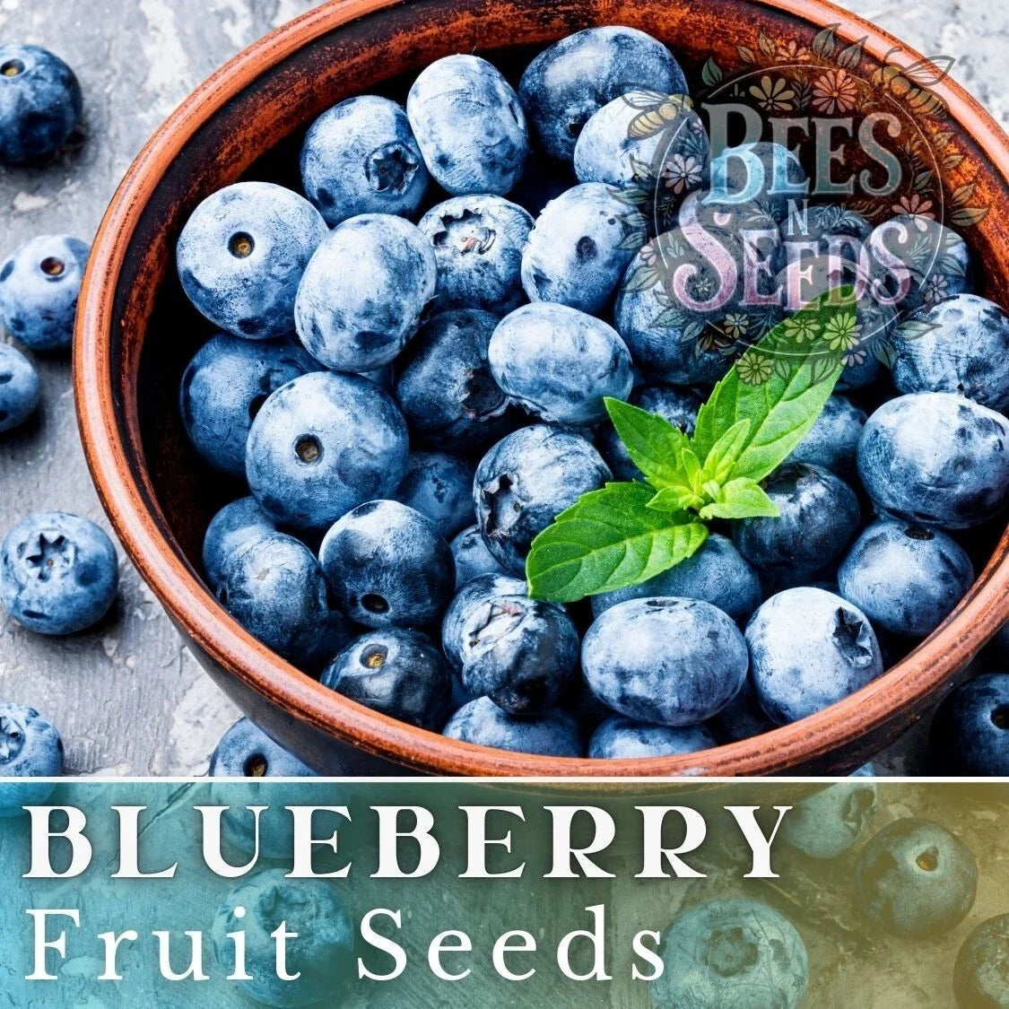 Blueberry Seeds - 200/750/3200 Non-GMO Bulk Fruit Seeds - Vaccinium corymbosum, Sweet Berry Variety