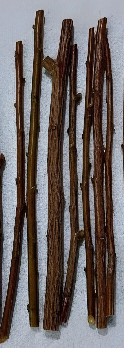 6 Organic Plum Tree Cuttings - Unrooted Prunus domestica or salicina for Grafting or Rooting