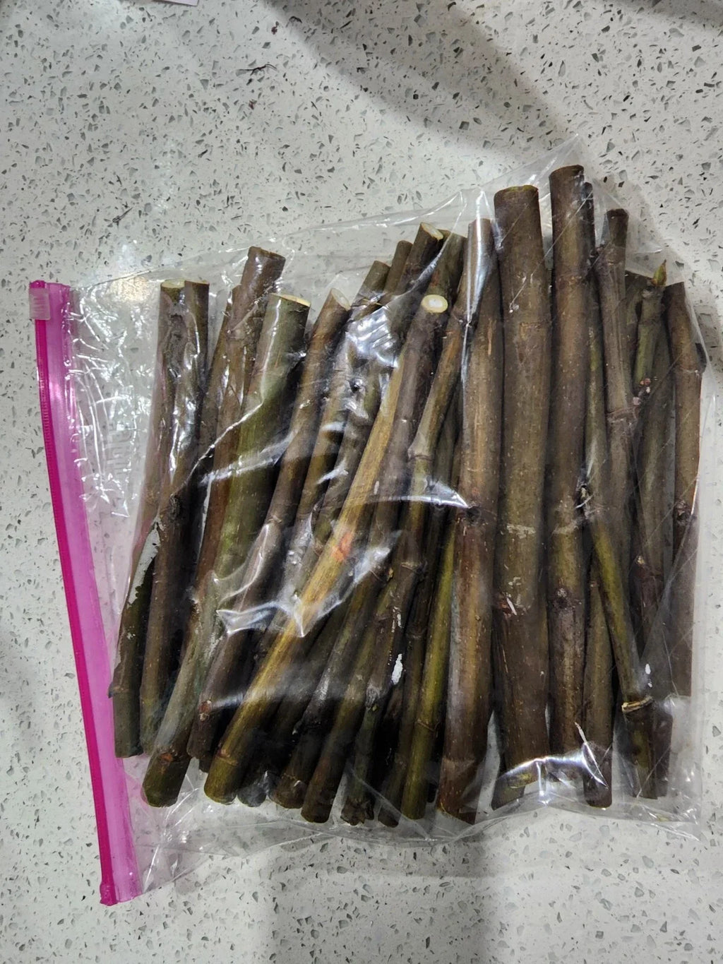 Smith Fig Tree Cuttings (2 unrooted, 6–8") – Organic Heirloom Louisiana Fig for Propagation