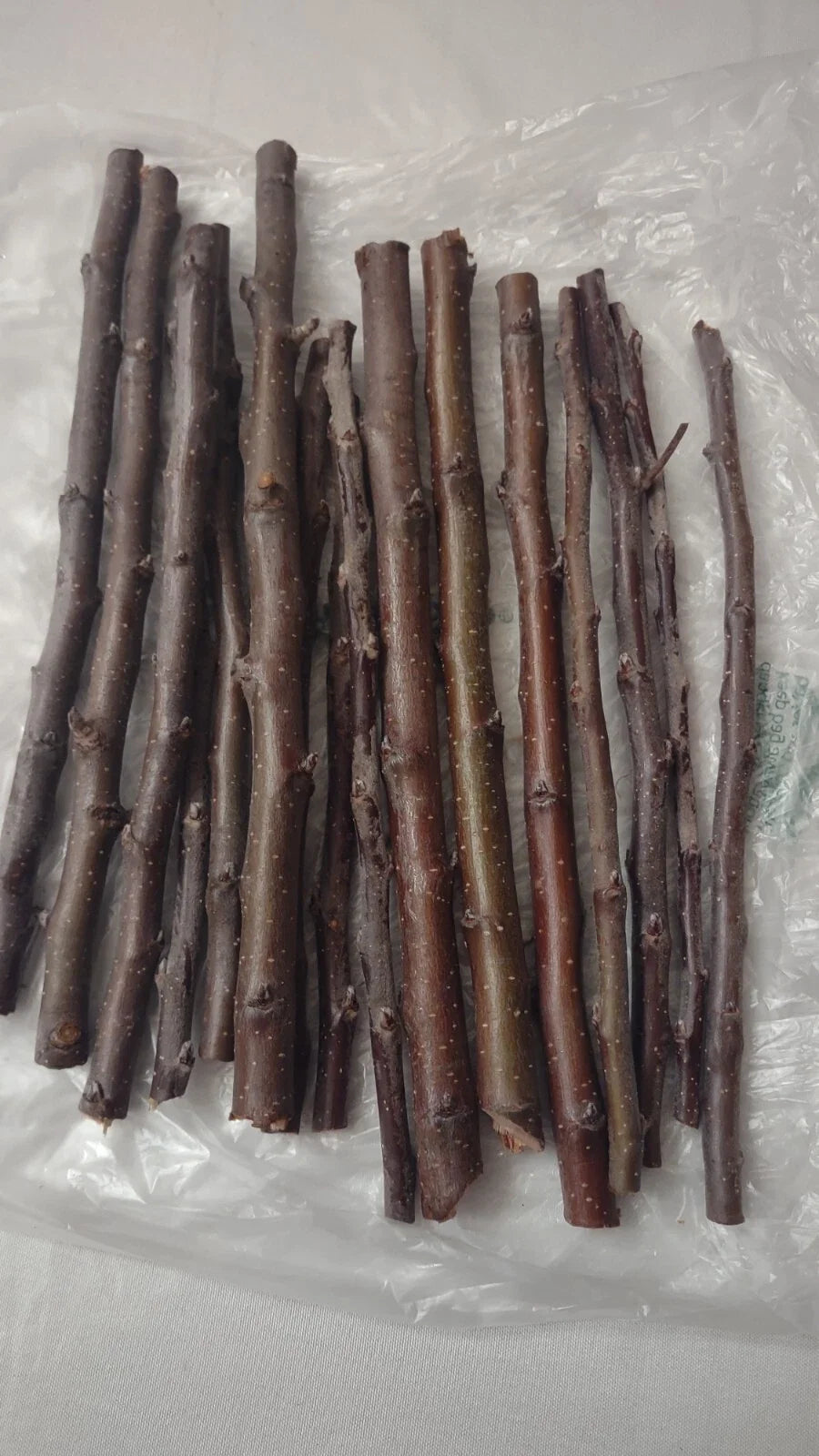 Golden Delicious Apple Tree Scions - 6 Fresh Unrooted Cutting for Grafting
