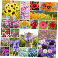 Annual Wildflower Mixed Seeds, 1/4 lb, 120,000+ Seeds for Planting, Colorful Variety for Gardens and Pollinators