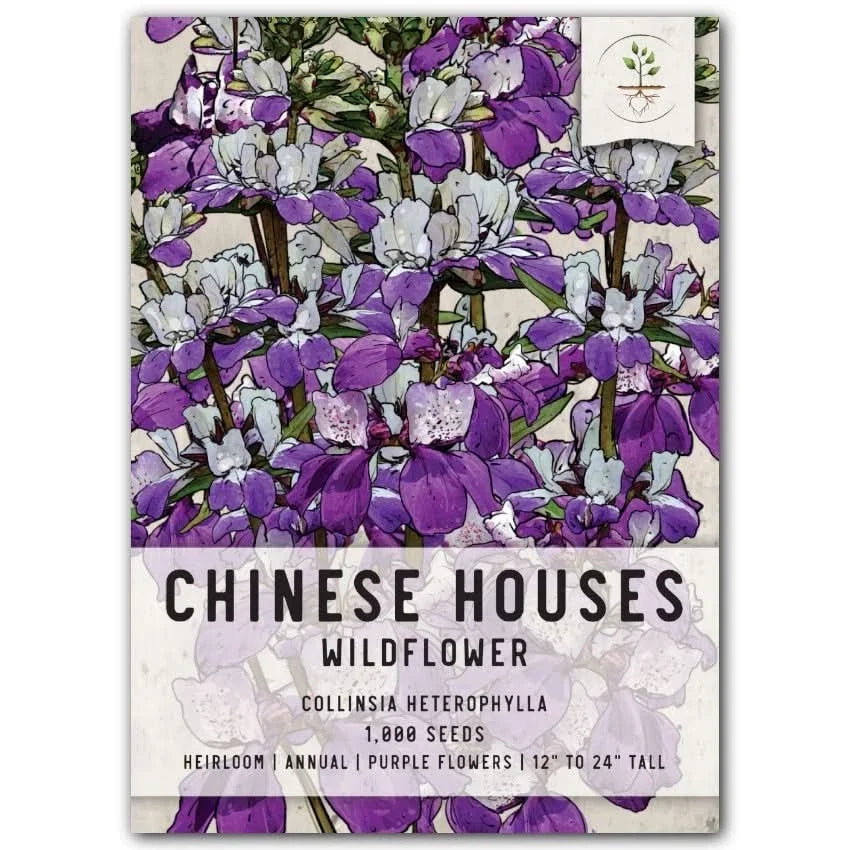 Chinese Houses Seeds for Planting - Collinsia heterophylla - Colorful Annual Wildflower Seeds