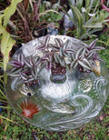 Tradescantia Zebrina "Silver Plus" Wandering Jew Plant in 2.5" Pot - Rooted Houseplant for Indoor Decor