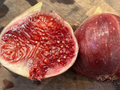 Wilson’s Coyote Rainbow Fig - 3 Unrooted Cuttings (Ficus carica) Rare Variety
