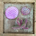 The Pinkle Box: 3 Pink & Purple Cactus Cuttings (Unrooted) – Mixed Cactus Cuttings
