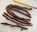Texas Everbearing Fig Cuttings — 3 Fresh 6–8