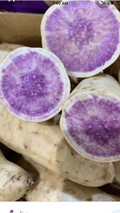 Okinawa Purple Sweet Potato Slips – 15 Organic Cuttings (Ipomoea batatas) Ready for Planting