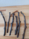 Dwarf Black Mission Fig Cuttings – 6 Unrooted Live Cuttings for Containers and Gardens
