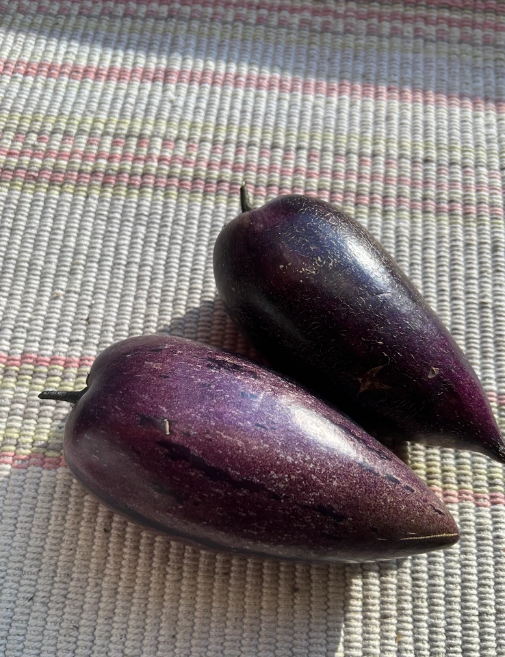 Pepino Melon Cuttings – Deep Purple Variety, 6 Unrooted Fresh Cuttings (Solanum muricatum)
