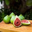 Dalmatie/Stella Fig Cutting (Ficus carica) - 3 Unrooted Cuttings, 3+ Nodes